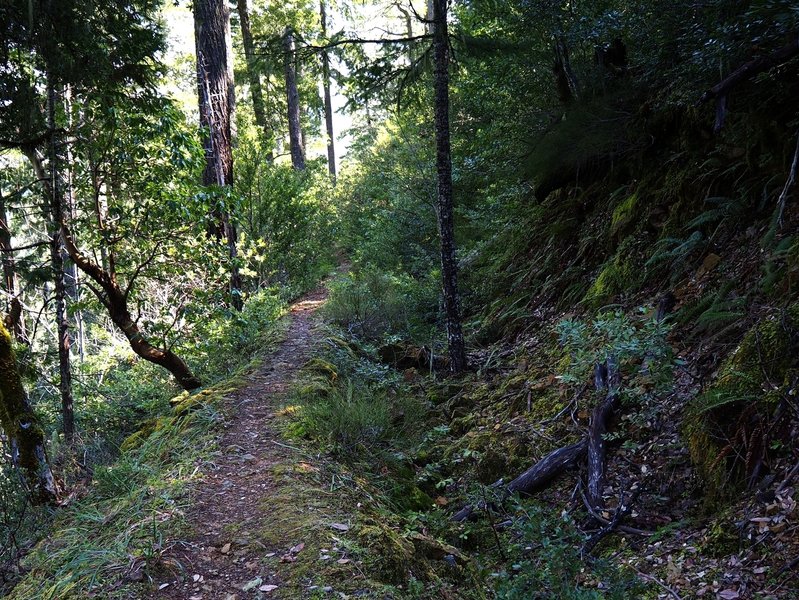 The trail (L) and ditch (R) just south of Bybee Gulch