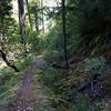 The trail (L) and ditch (R) just south of Bybee Gulch