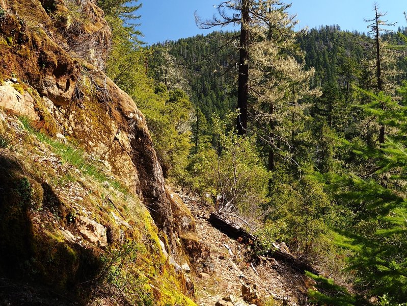 The trail is rocky and narrow in only one spot.