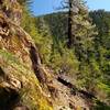 The trail is rocky and narrow in only one spot.