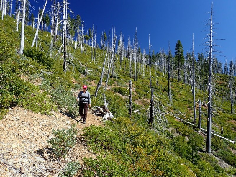 Descending from the upper trailhead