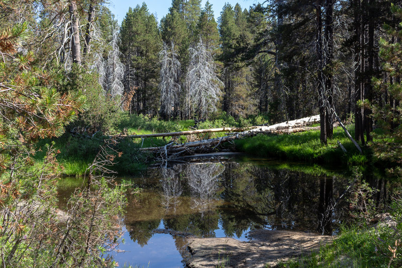 Small pond fed by Bridalveil Creek right next to the Bridalveil Creek Trailhead