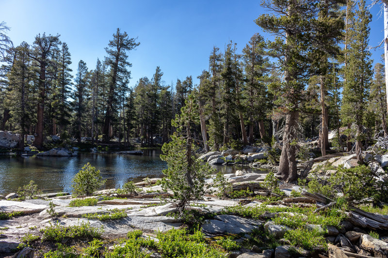 The outlet of Buena Vista Lake feeding Buena Vista Creek