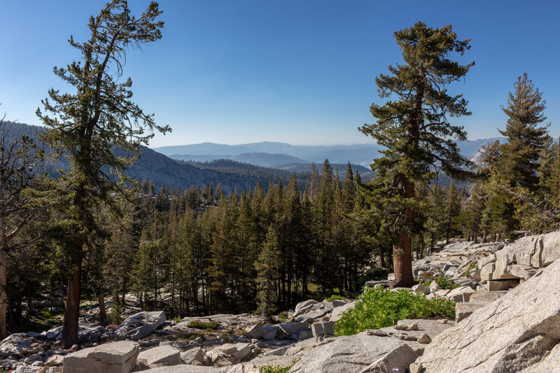 View north from the ascent up Buena Vista Pass towards Horse Ridge