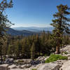 View north from the ascent up Buena Vista Pass towards Horse Ridge