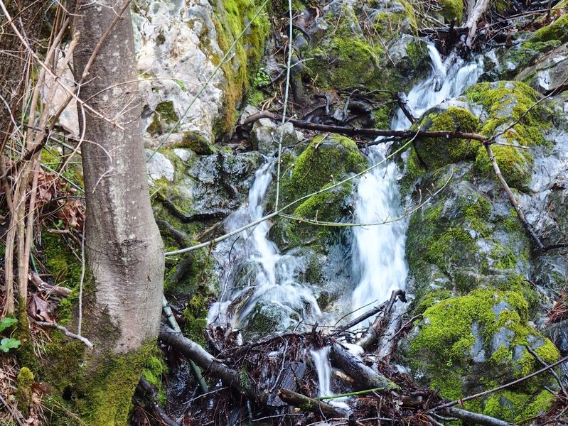 A small seasonal waterfall in Bear Gulch