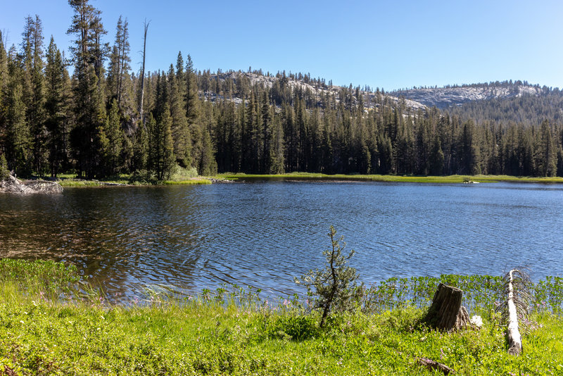 North side of Johnson Lake