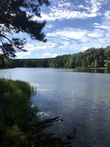 One Horse Gap Lake
