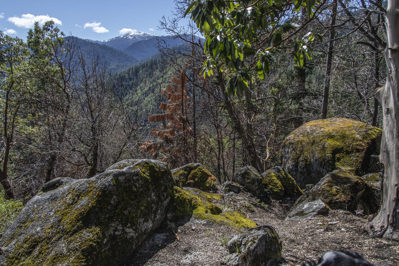 Granite boulders at intersection of Wonder Trail and Fell on Knee trail. View of snow covered Mt. Ashland in distance.