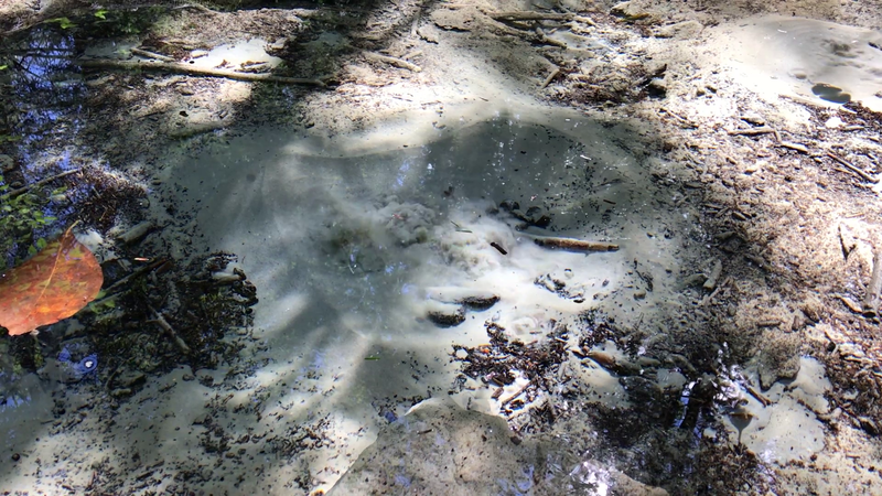 Bubbling sandy bottom of sand spring.