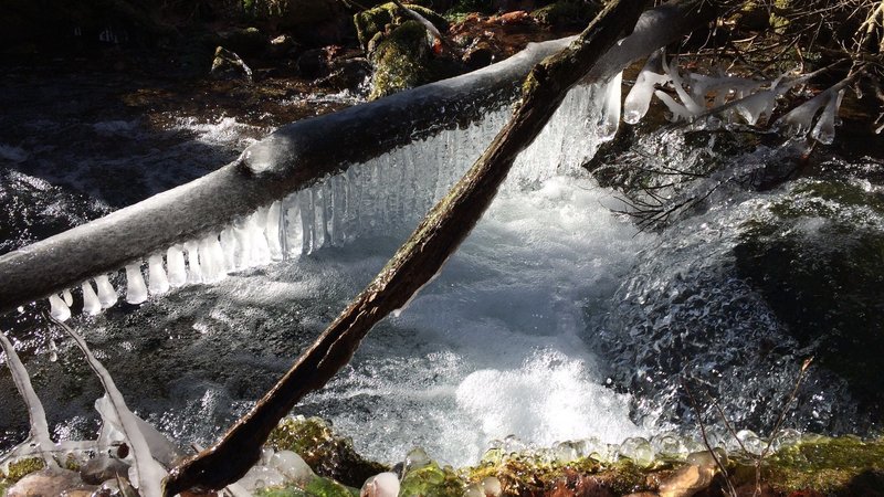 Icicles hanging from frozen log over creek.