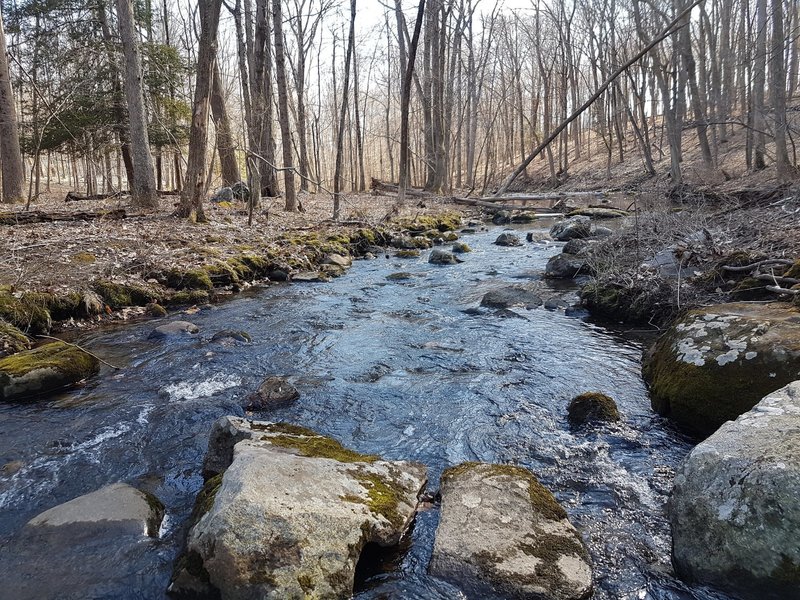 Brook at Racebrook Tract