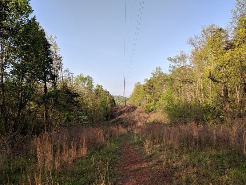 Moss Rock Power Line Trail