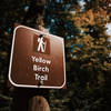 Yellow Birch Trail at George H. Crosby Manitou State Park, Minne