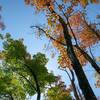 Fall Colors on Minnesota's North Shore