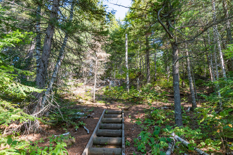 Stairs on the Misquah Trail