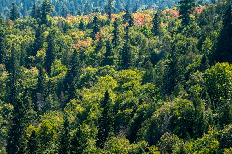 Fall Colors at George Crosby Manitou State Park, Minnesota