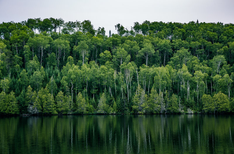 East Bearskin Lake, Gunflint Trail, Minnesota