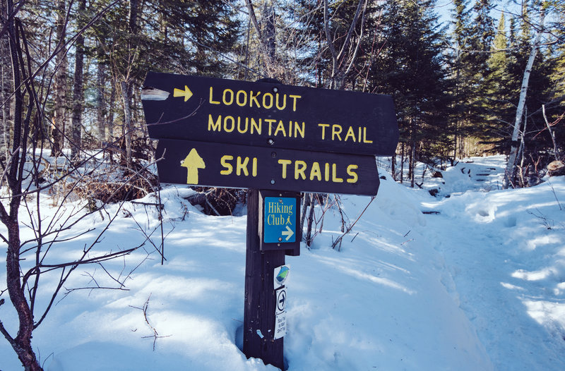 Winter Trails at Cascade River State Park, Minnesota