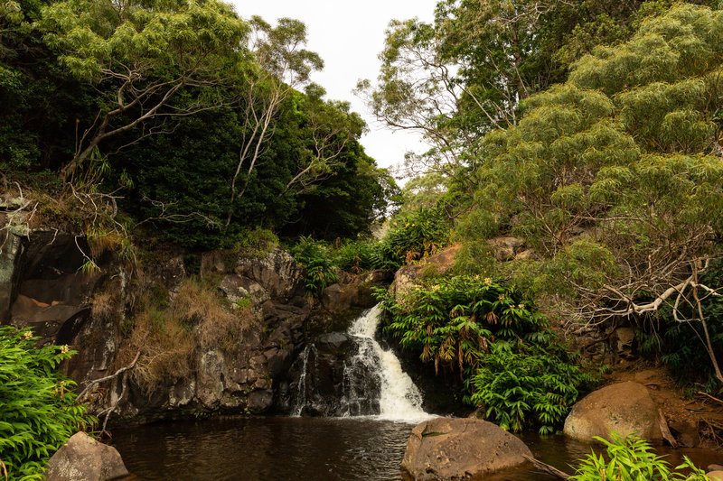 Waipoo waterfalls Waimea Canyon Park Kauai, Hawaii