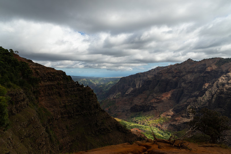 Waimea Canyon State Parc, Hawaii