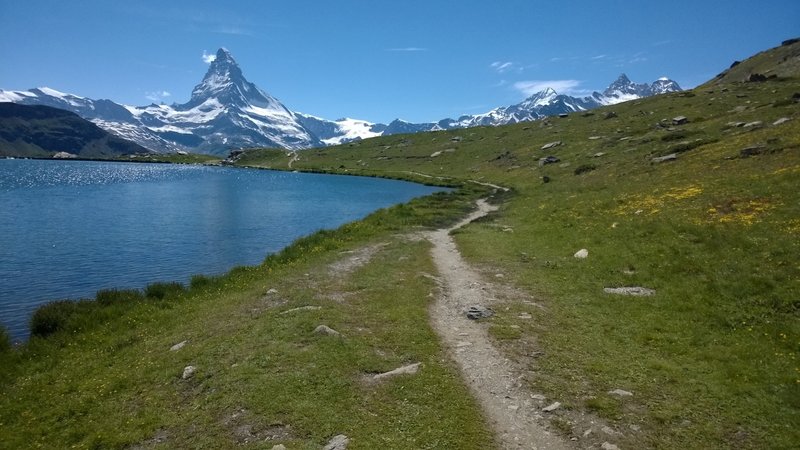 Stellisee at 2540m / 8333ft high, with Matterhorn view, surrounded by wildflowers.