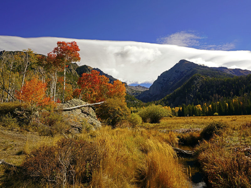 Willow Park, about a third of the way from trailhead to Willow Lake, is a one hour hike. This was captured in Autumn. The trail goes right beside the Park. Challenger Point is seen above the Park with Willow Lake in a bowl just below it, middle of photo.