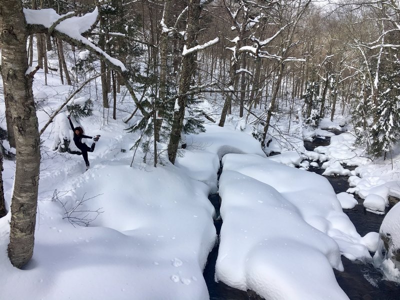 trail in winter