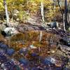 Green Trail - Stream flowing over the trail