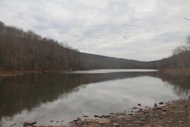 Trout Pond