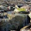 Cascade/small waterfall on seasonal creek along Bixhoma Bluff Trail