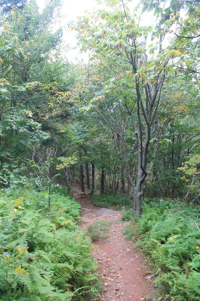 Descending from North Point