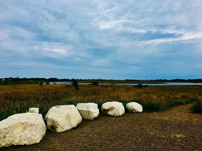 marsh trail