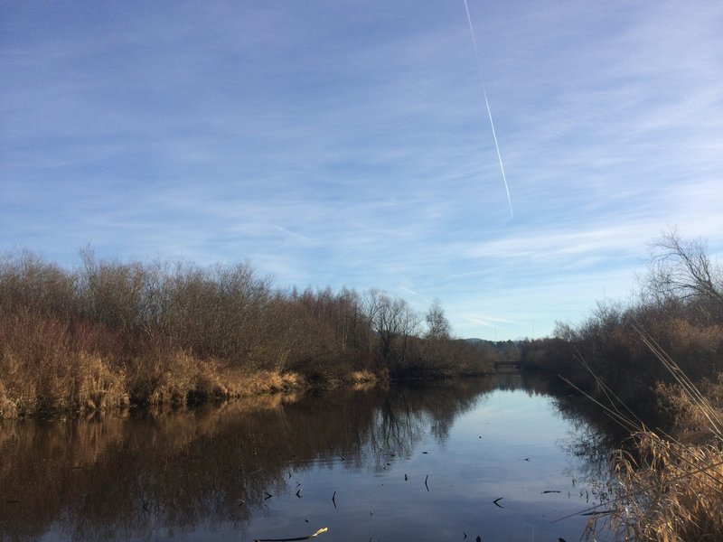 Mercer Slough Channel