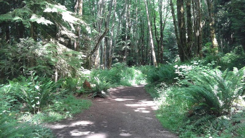 Cave Hole Trail