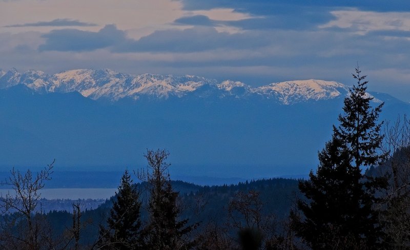 The Olympic Mountains