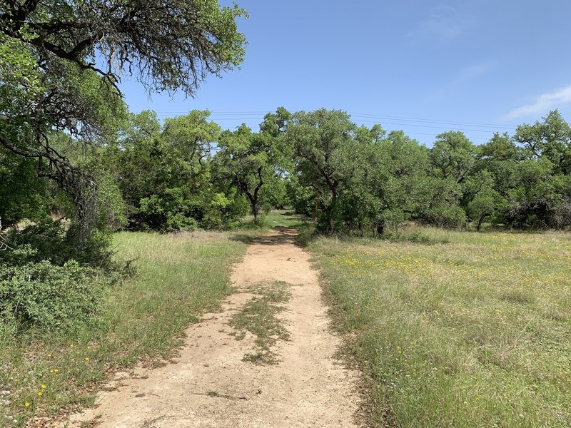 Start of the Live Oak Trail