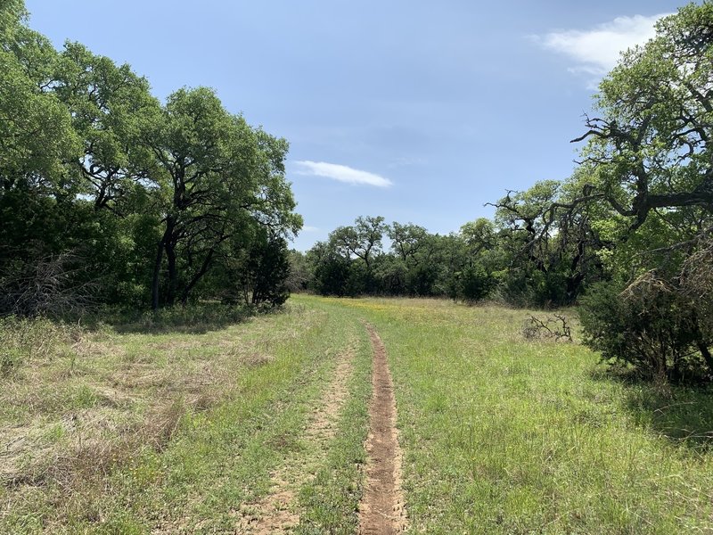 Almost to River Overlook Trail.