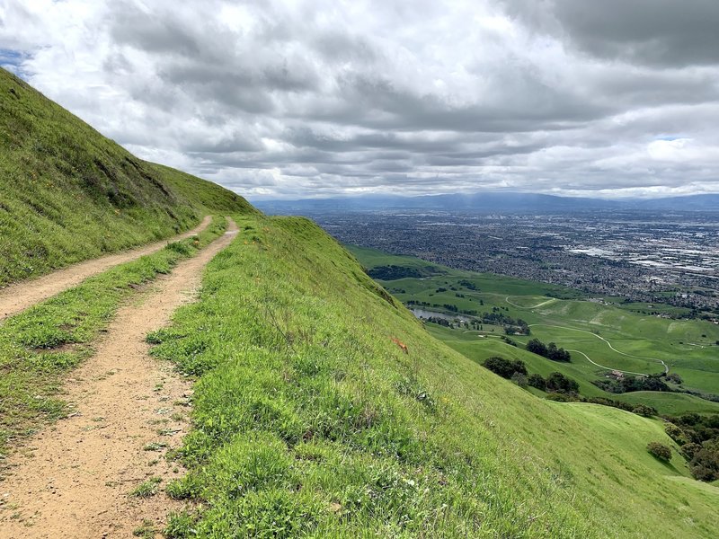 The road is a moderate climb with several switchbacks. Without almost no trees, it offers great Bay Area views: I could see from SJ to SF. It's also exposed to the sun, especially after noon.