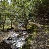 A lot of the Old Settlers Trail is located along—and often across—streams varying in size from small brooks, like this, and large, hazardous rivers.