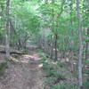 Mineral Springs Greenway