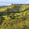 view from Del Cerro Park