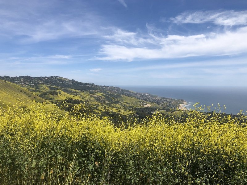 view from McBride trail