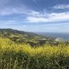 view from McBride trail