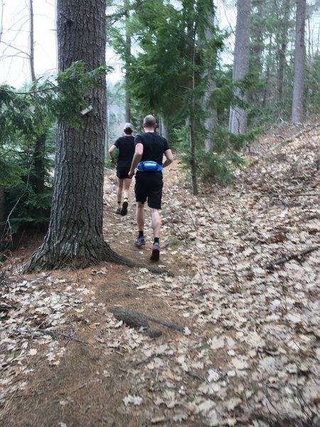 Running on the trails