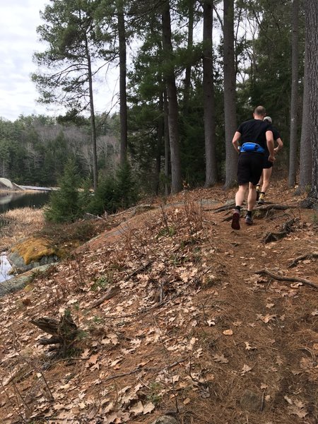 Trails along Round Pond.