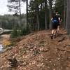 Trails along Round Pond.