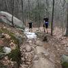 Descending the trails near North Mountain.