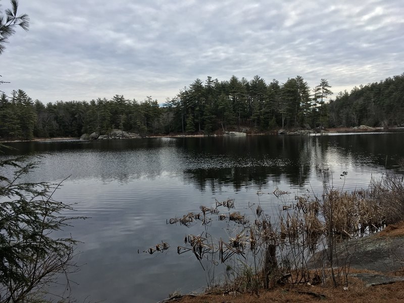 Views along Round Pond.