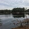 Views along Round Pond.